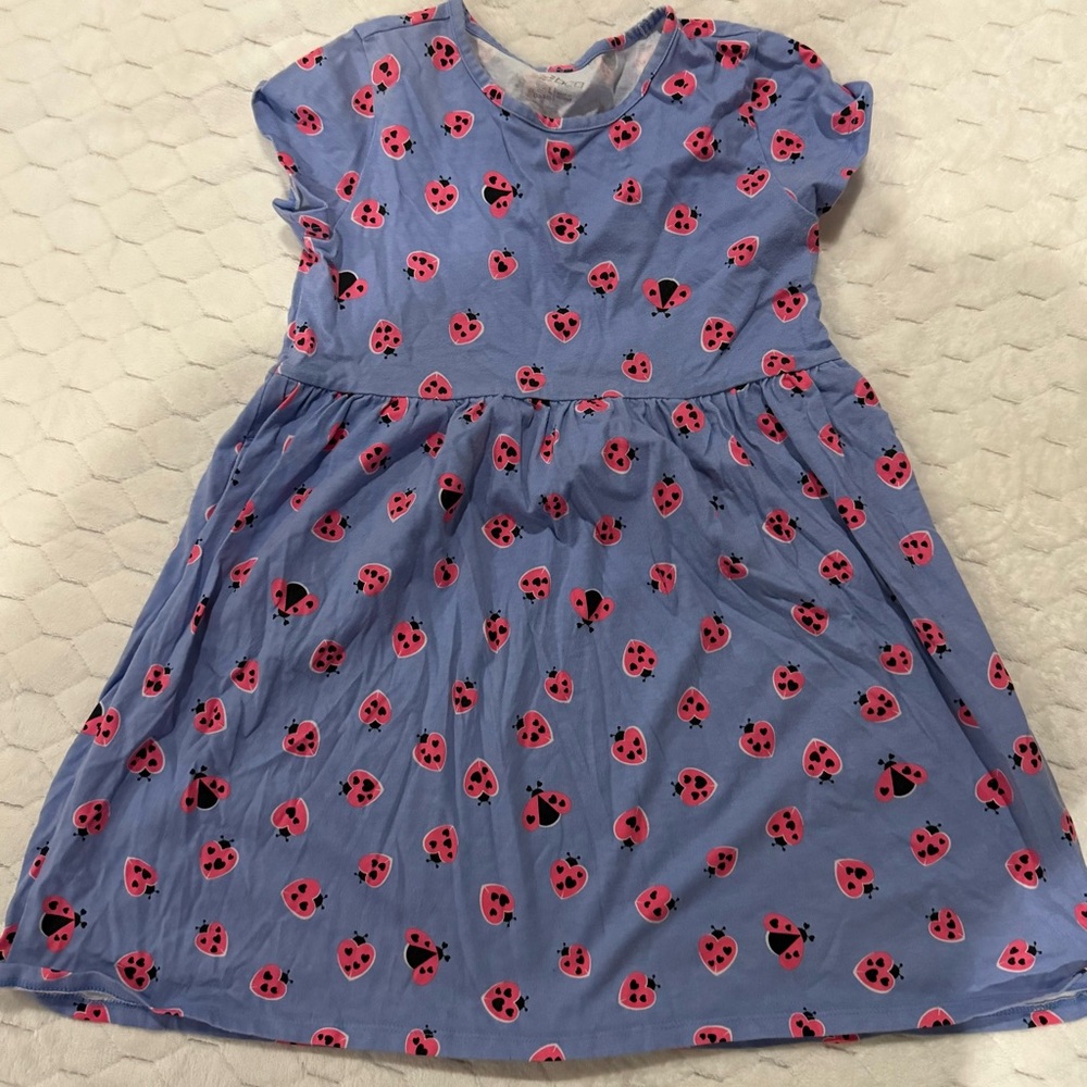 bcg Blue Dress with Pink Ladybug Pattern